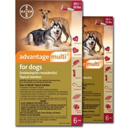 Advantage Multi for Dogs 20.1-55 lbs 12 Month